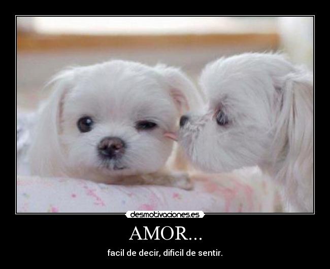 AMOR... -