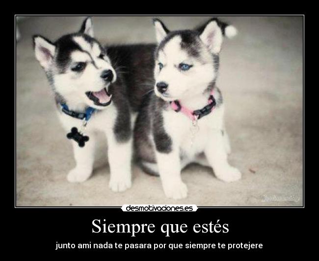 Siempre que estés - junto ami nada te pasara por que siempre te protejere