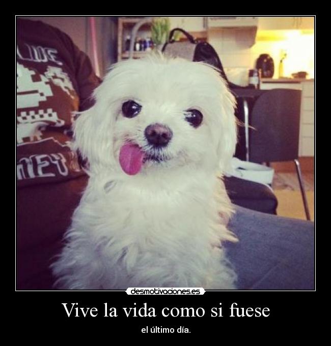 Vive la vida como si fuese - el último día.