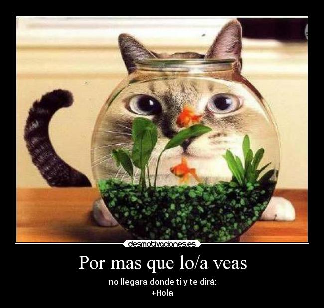 Por mas que lo/a veas - no llegara donde ti y te dirá:
+Hola