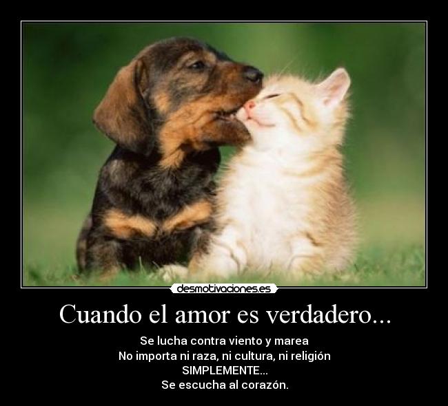 Cuando el amor es verdadero... -
