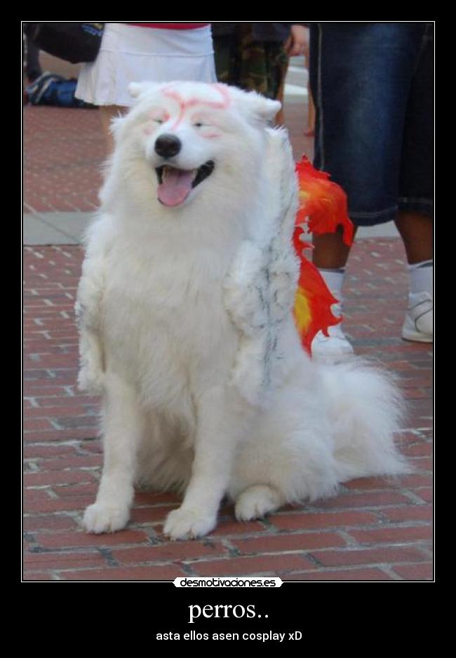 carteles perrito desmotivaciones