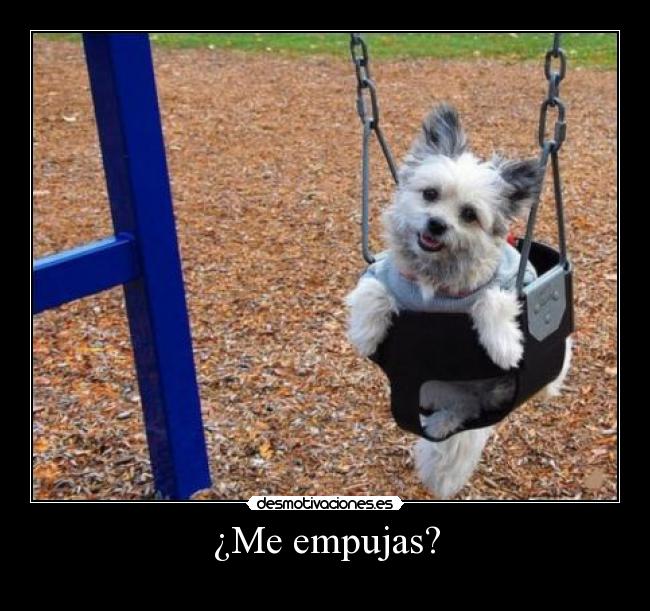 ¿Me empujas? - 