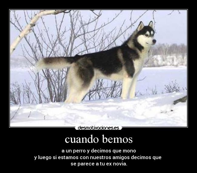 carteles cuando bemos desmotivaciones