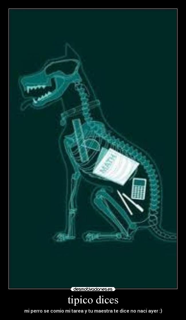 tipico dices - 