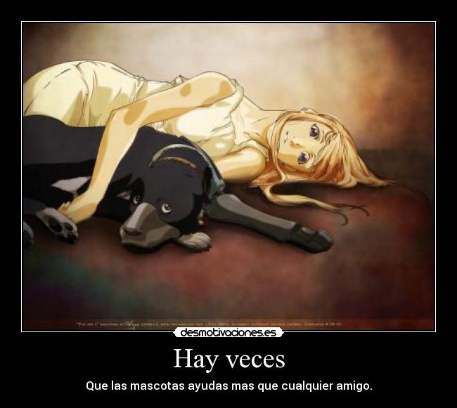 Hay veces - Que las mascotas ayudas mas que cualquier amigo.