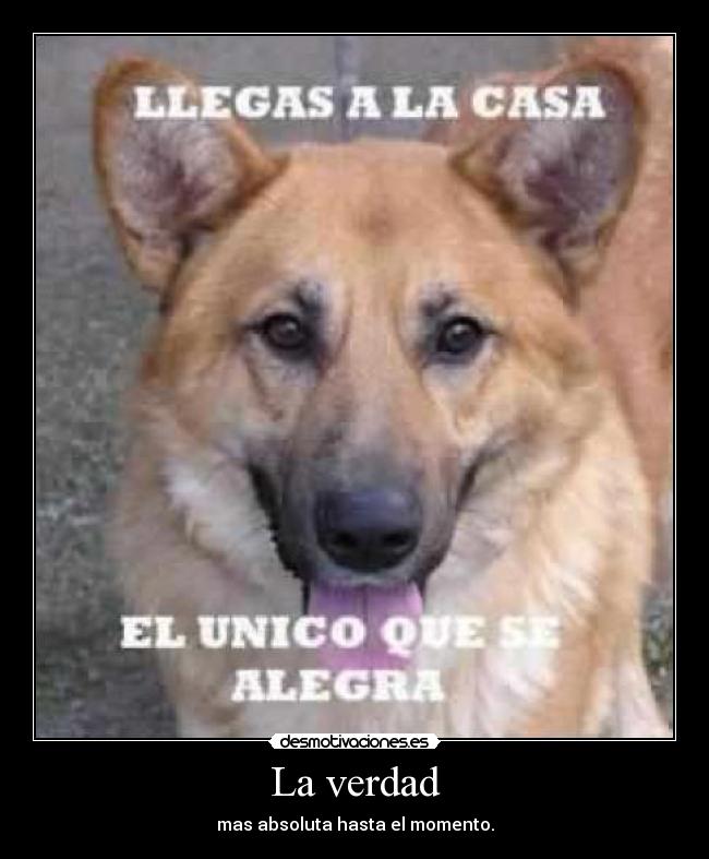 La verdad - mas absoluta hasta el momento.