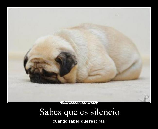 Sabes que es silencio - cuando sabes que respiras.