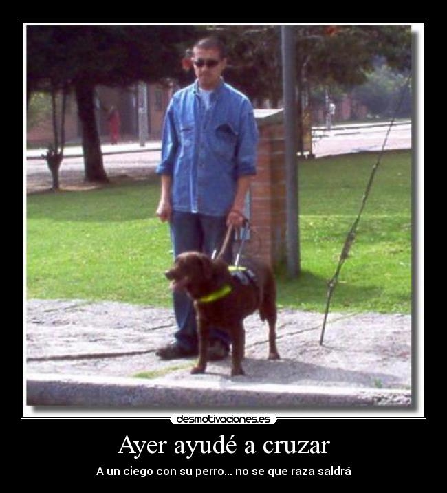 carteles cruzar ciego con perro hibrido desmotivaciones