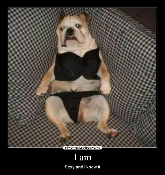 I am - Sexy and i know it