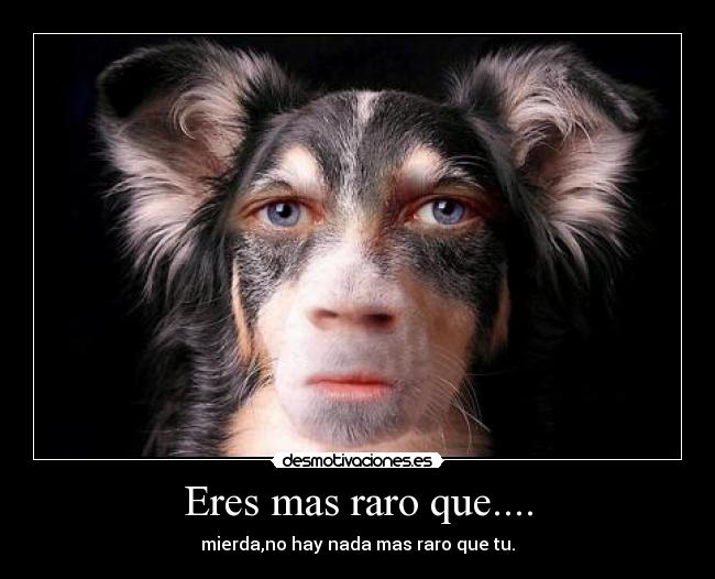 Eres mas raro que.... - 