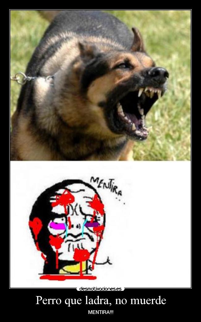 Perro que ladra, no muerde - MENTIRA!!!