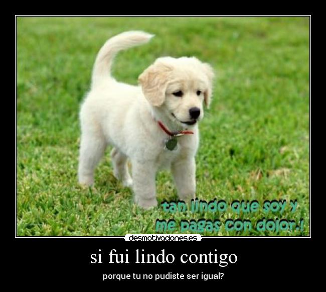 carteles lindo contigo desmotivaciones