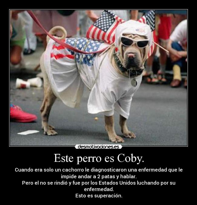 Este perro es Coby. - 