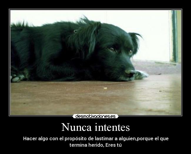Nunca intentes - 