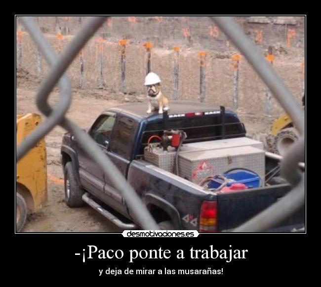 carteles sigueme twitter cuenta lgns desmotivaciones