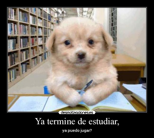 Ya termine de estudiar, - ya puedo jugar?