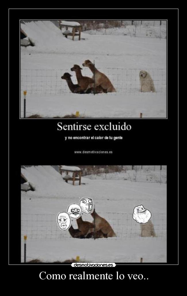 carteles meme memes chiste demostivaciones desmotivaciones