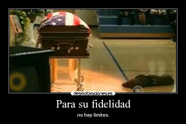 carteles moxis desmotivaciones