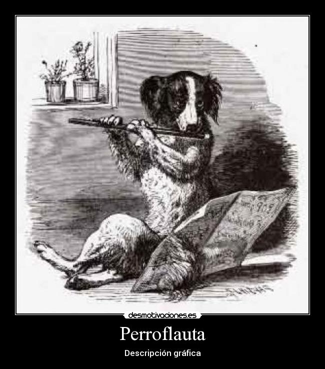 Perroflauta - Descripción gráfica