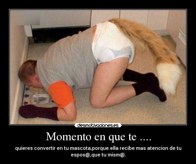 Momento en que te .... - quieres convertir en tu mascota,porque ella recibe mas atencion de tu
espos@,que tu mism@.