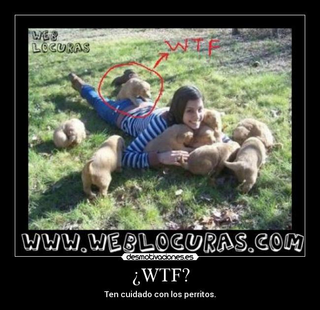 ¿WTF? - Ten cuidado con los perritos.