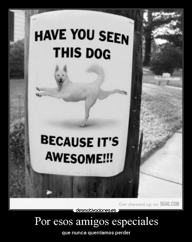 Por esos amigos especiales - 