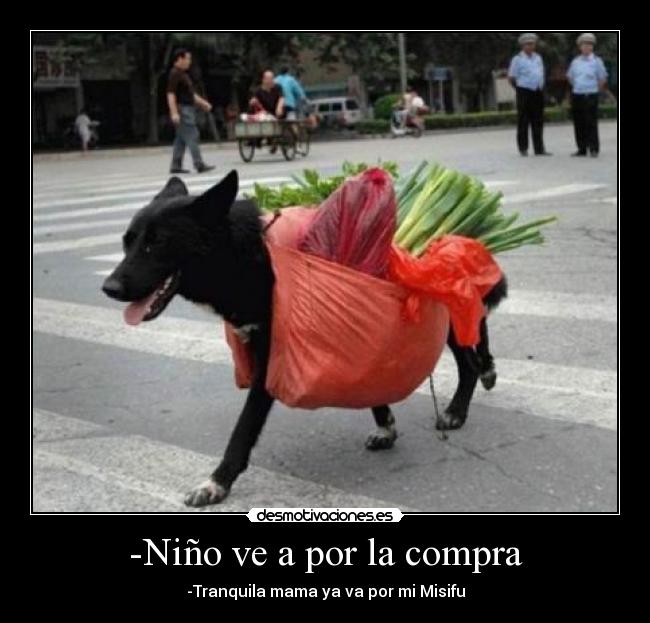 carteles sigueme twitter cuenta lgns desmotivaciones