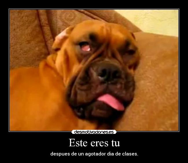 Este eres tu - despues de un agotador dia de clases.