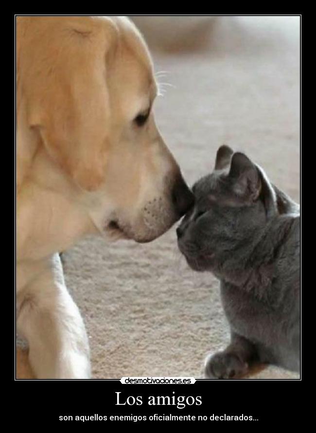 Los amigos - son aquellos enemigos oficialmente no declarados...