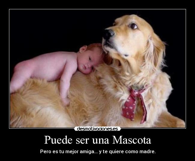 Puede ser una Mascota - Pero es tu mejor amiga... y te quiere como madre.