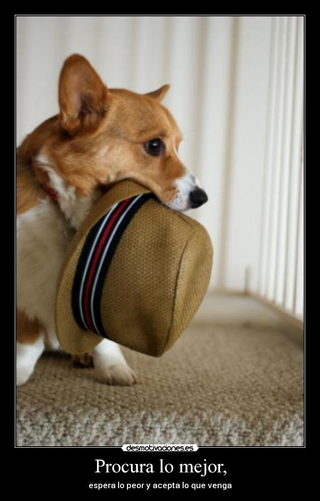 carteles refranero yaya lolii desmotivaciones