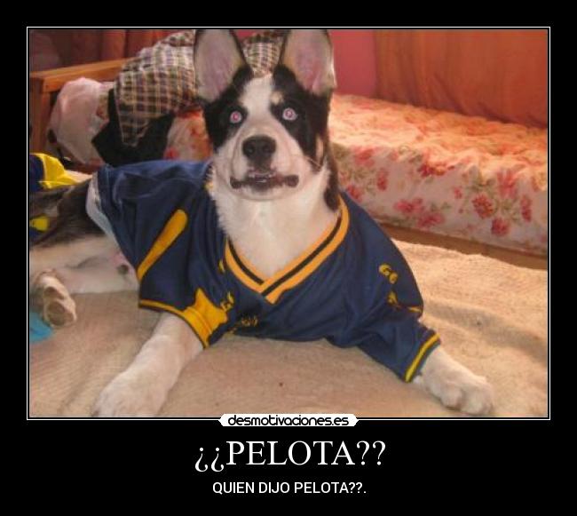 carteles andreszambrano estado por tiempo disculpad xddd desmotivaciones