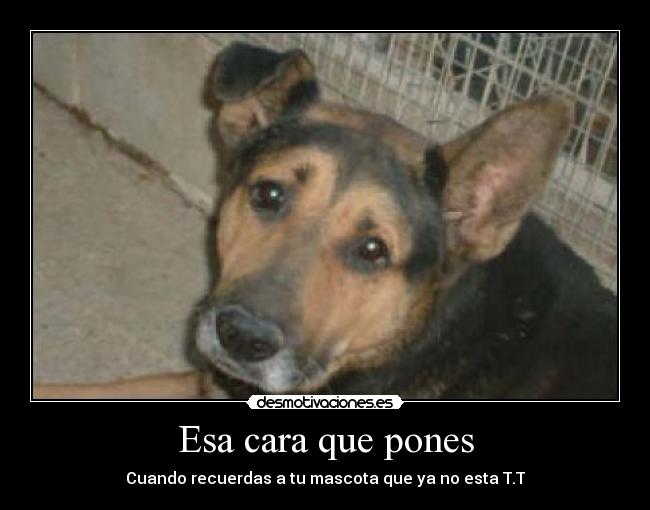 Esa cara que pones - 