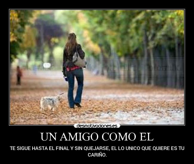 UN AMIGO COMO EL - TE SIGUE HASTA EL FINAL Y SIN QUEJARSE, EL LO UNICO QUE QUIERE ES TU
CARIÑO.