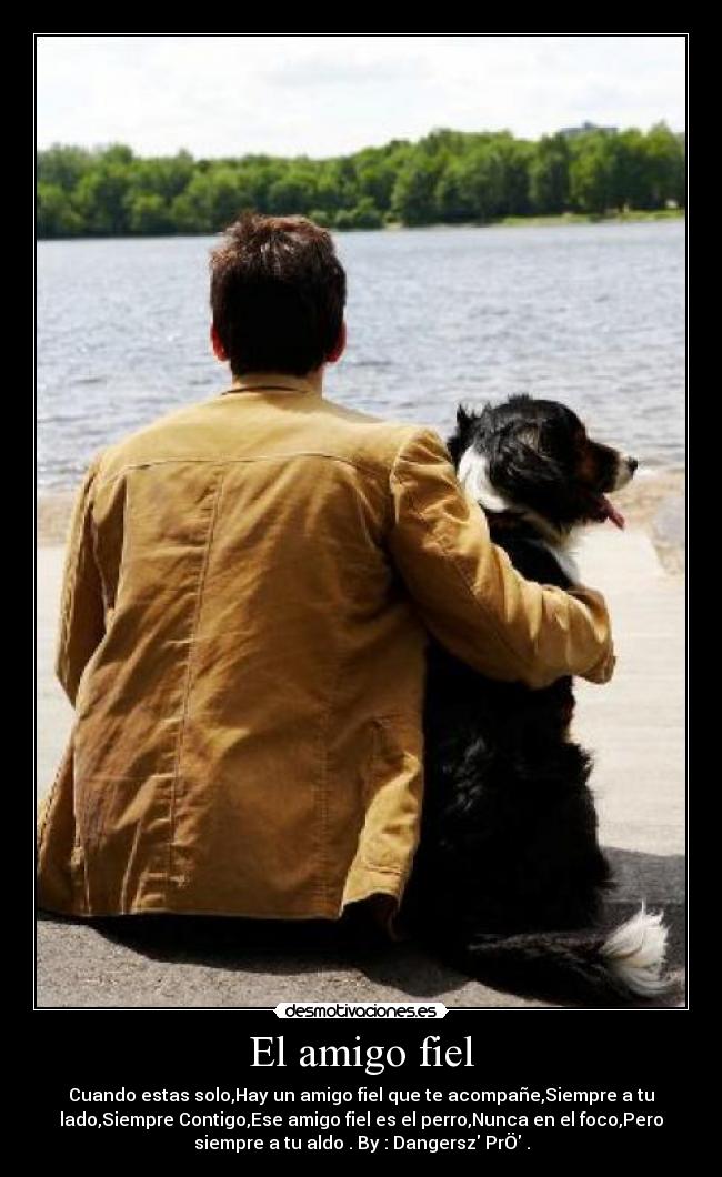 El amigo fiel - 