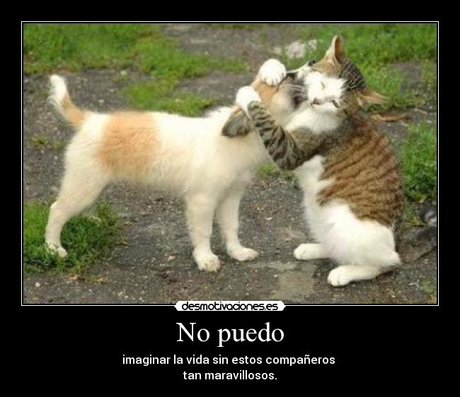 No puedo - imaginar la vida sin estos compañeros
tan maravillosos.