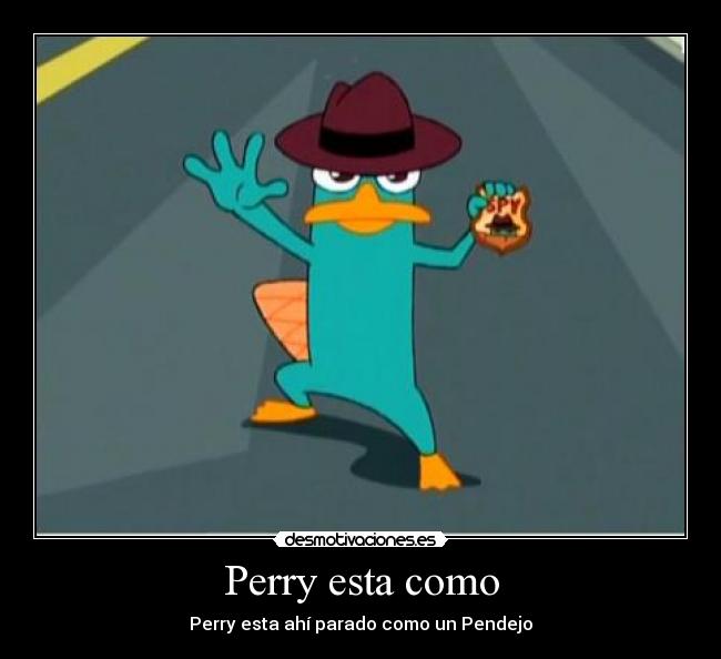 carteles perry pendejo phineas ferb desmotivaciones