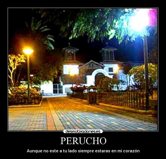 carteles sentimiento peruchano desmotivaciones