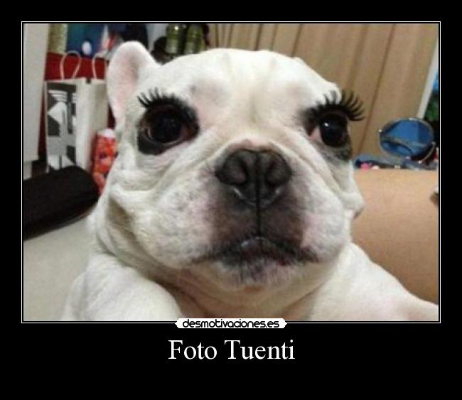 carteles tuenti sigueme twitter cuenta lgns desmotivaciones