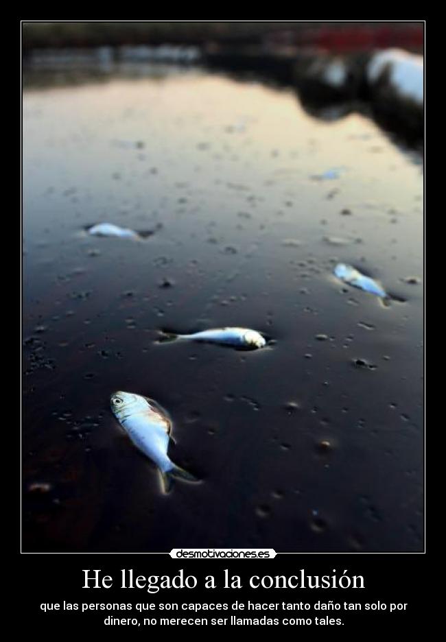 He llegado a la conclusión - 