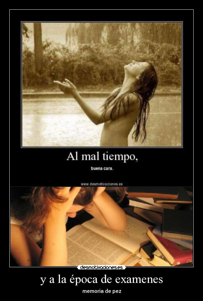 y a la época de examenes - memoria de pez