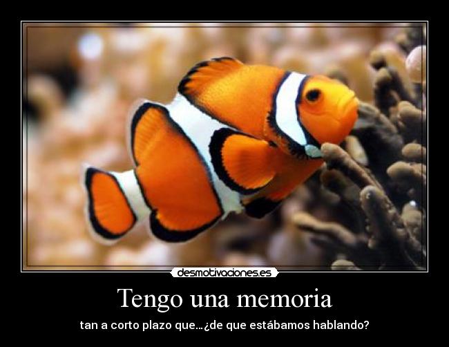 carteles los peces olvidan todo cada segundos jasonic desmotivaciones