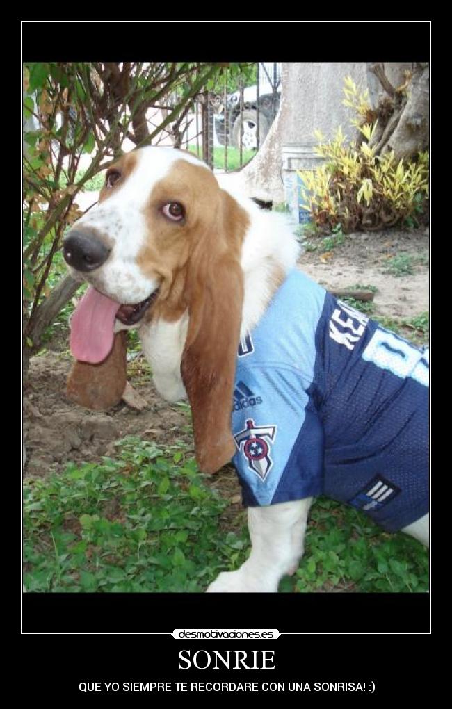 carteles marifer ceci desmotivaciones