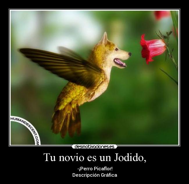 Tu novio es un Jodido, - -¡Perro Picaflor!
Descripción Gráfica