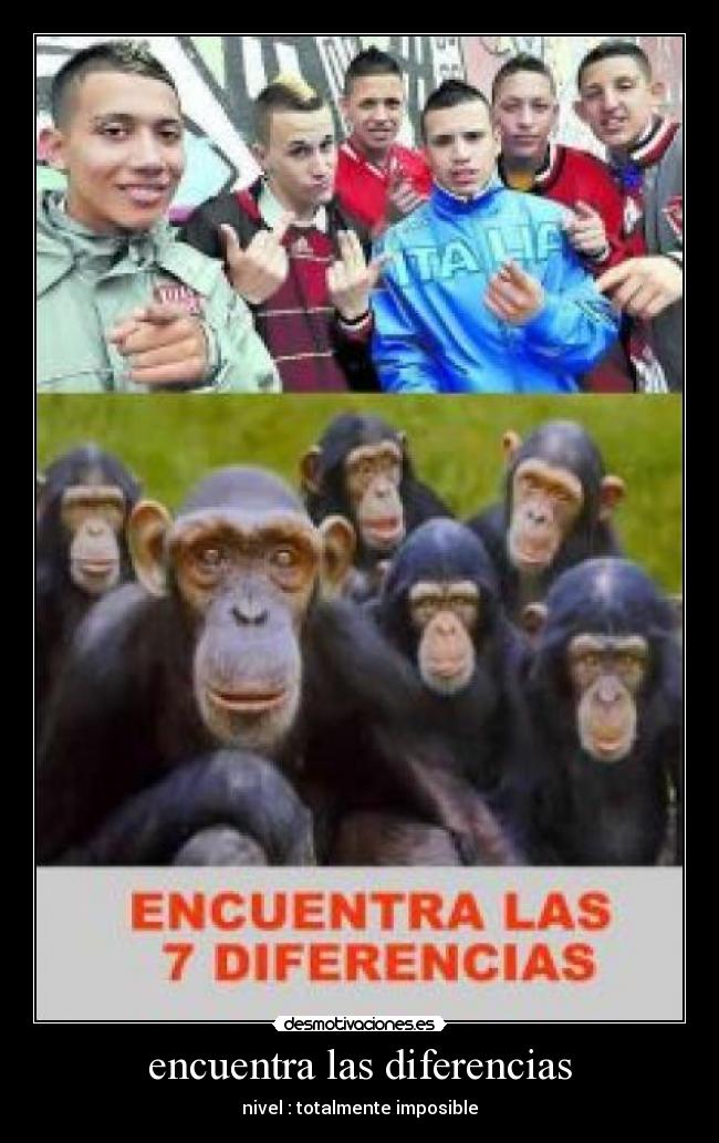 carteles diferensias desmotivaciones