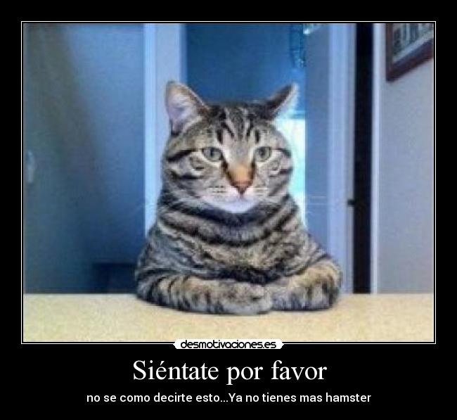 Siéntate por favor -