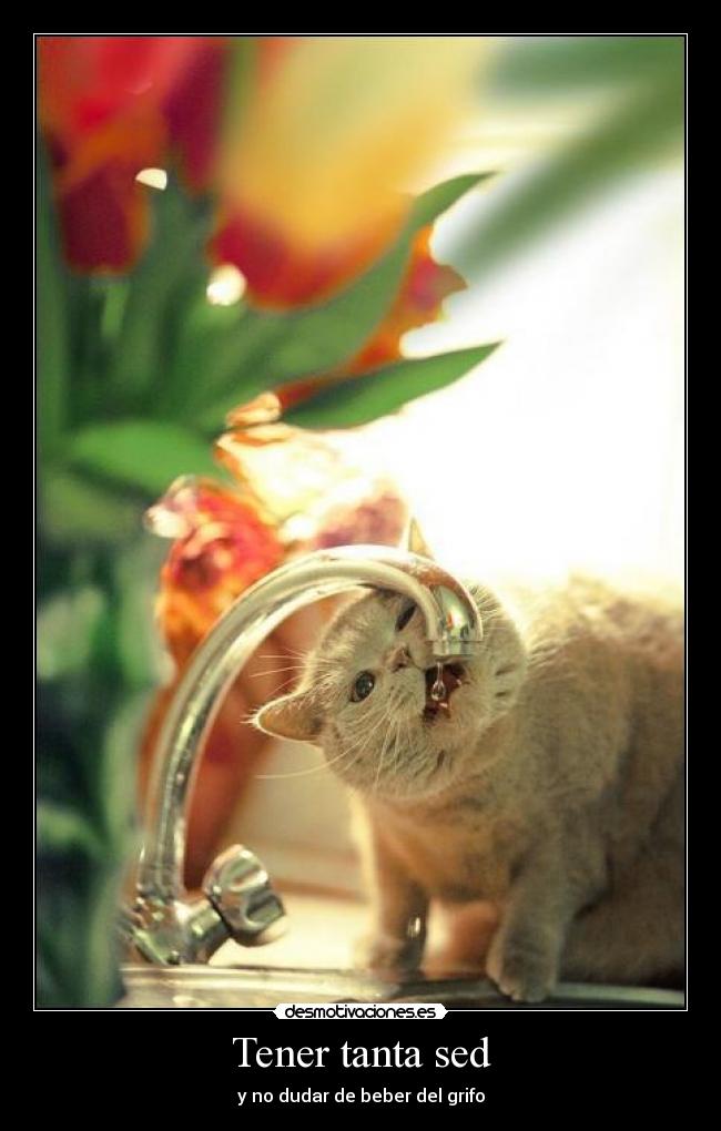 Tener tanta sed - y no dudar de beber del grifo