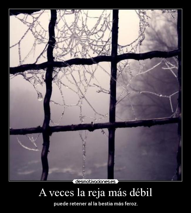A veces la reja más débil - 