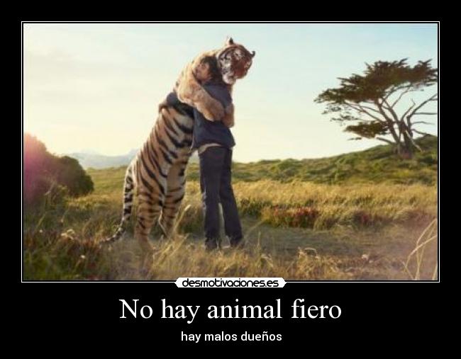 No hay animal fiero - hay malos dueños